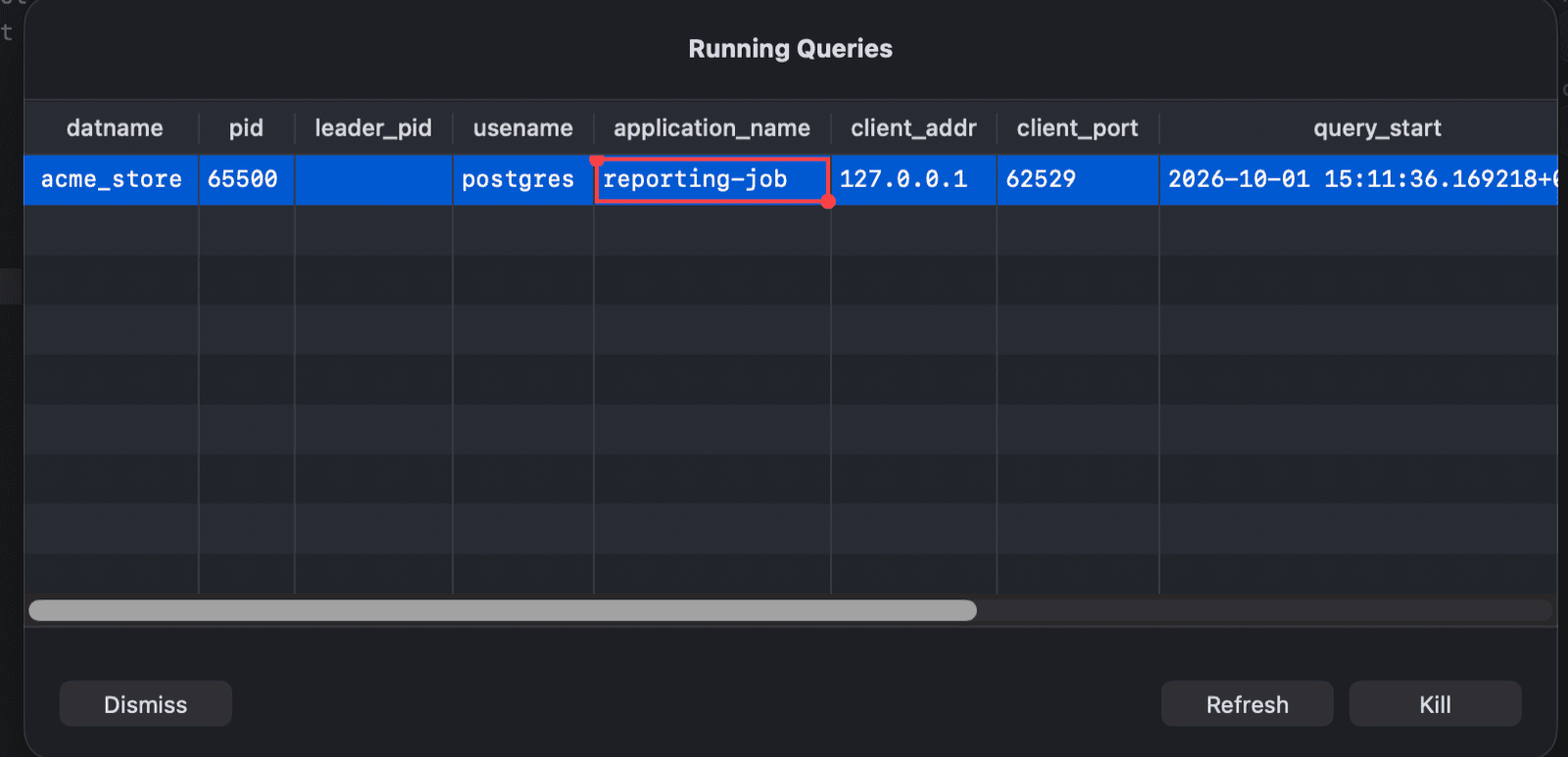 The process list of the Acme Store PostgreSQL database with a long-running query selected
